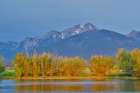 USA, Montana, Allentown. Evening light of Mission Mountains reflected in small pond. Art Print